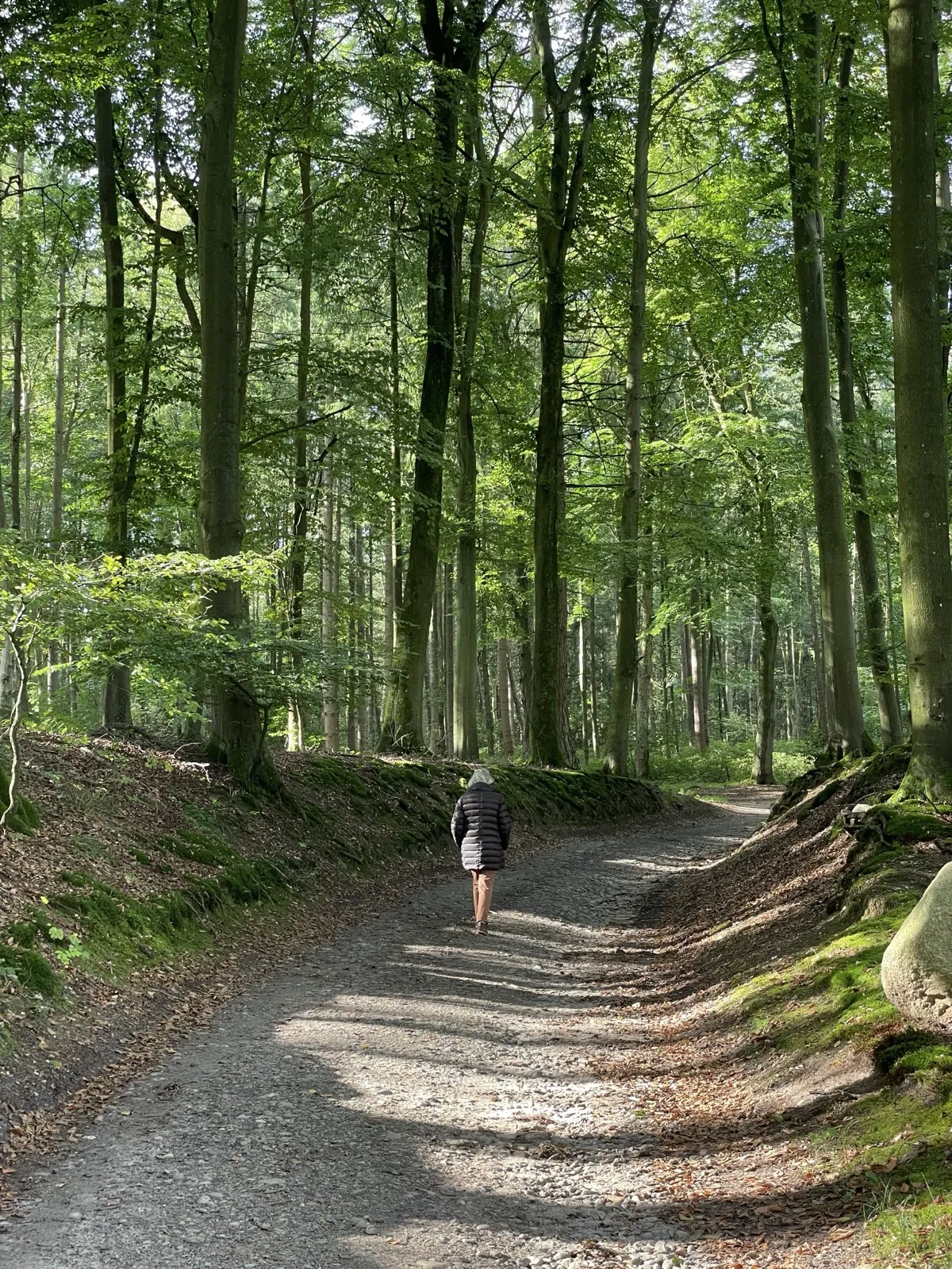 Waldweg durch den Bestattungswald